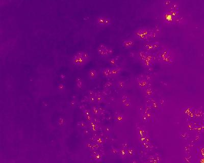 Drone image taken of the wildfire, showing some hotspots.