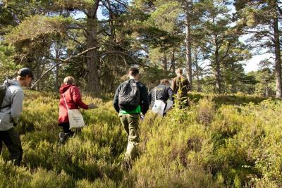 Youth Action climate camp attendees walk through a woodland