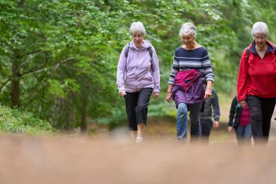 A group of walkers on the Grantown-on-Spey health walk surrounded by trees.