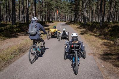 A group of cyclists on bikes and adaptive bikes on road in the forest.